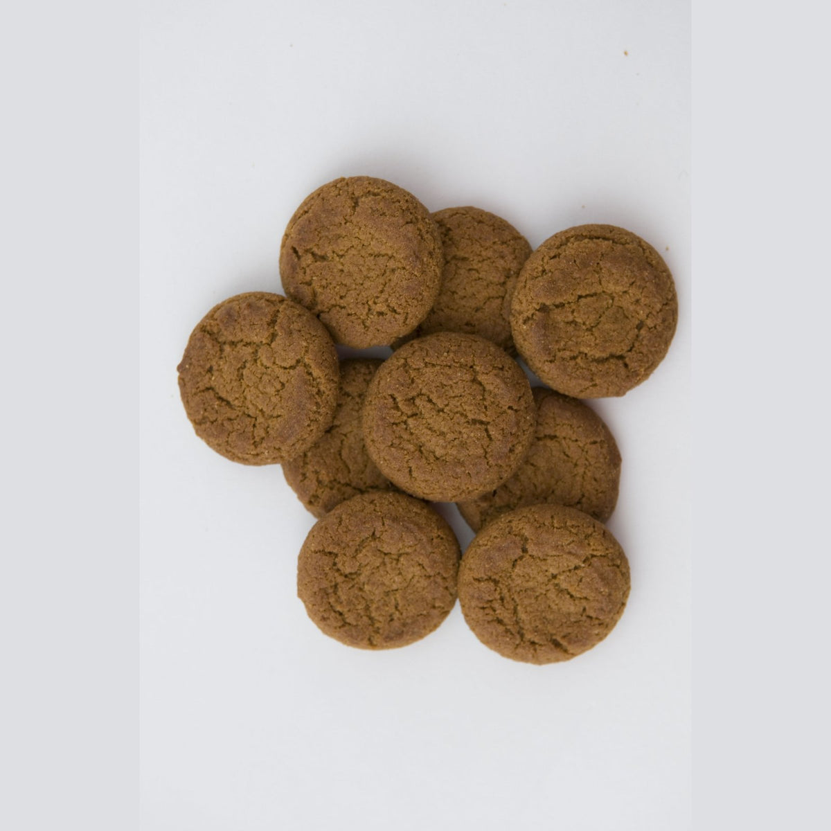 12oz Ginger Snap