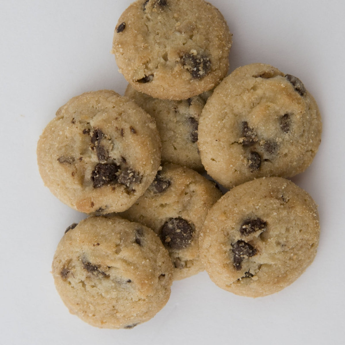 Pecan Chocolate Chip Supremes 6 oz.